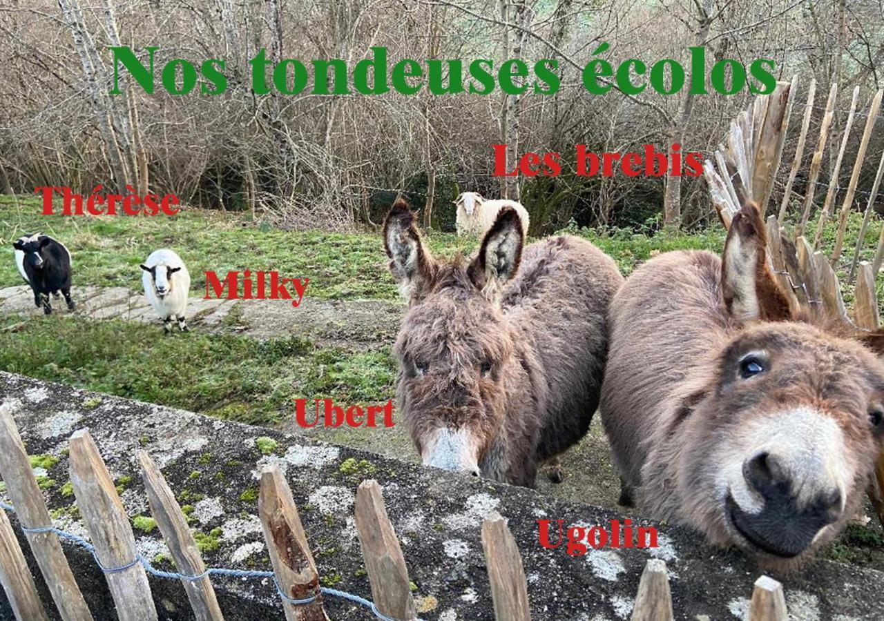 Gite De Lasbareilles Narcastet Exterior foto